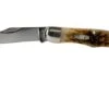 Case Pocket Hunter Amber Jigged Bone, 10727, 61165 SS Pocket Knife -Famous Knife Shop CE10727 01 case