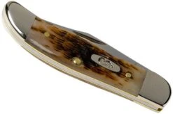 Case Pocket Hunter Amber Jigged Bone, 10727, 61165 SS Pocket Knife -Famous Knife Shop CE10727 04 case