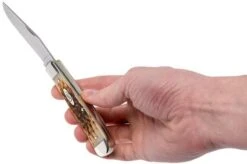 Case Trapper Amber Jigged Bone, 00164, 6254 SS Pocket Knife 19 Case Trapper Amber Jigged Bone, 00164, 6254 SS Pocket Knife -Famous Knife Shop CE164 09 case ce164 09