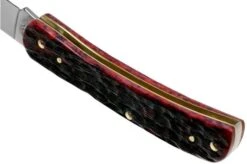 Case Sod Buster Jr Crimson Red Peach Seed Jigged Bone, 27383, 6137 SS Pocket Knife -Famous Knife Shop CE27383 05 case
