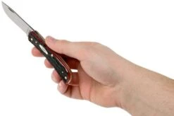 Case Sod Buster Jr Crimson Red Peach Seed Jigged Bone, 27383, 6137 SS Pocket Knife -Famous Knife Shop CE27383 07 case