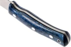 Casström No. 10 Swedish Forest Knife Blue Curly Birch, 14C28N Flat Grind -Famous Knife Shop CM13119 04 casstrom cm13119 04