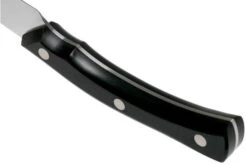 Due Cigni Arne Line Paring Knife 10 Cm, Black -Famous Knife Shop DG2C901 04 due cigni arne