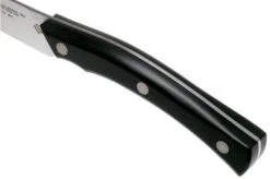 Due Cigni Arne Line Paring Knife 10 Cm, Black -Famous Knife Shop DG2C901 05 due cigni arne