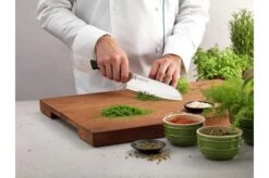 Zwilling Diplôme Paring Knife 9 Cm, 54200-091 -Famous Knife Shop Diplome2