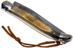 Forge De Laguiole 12110INCABDF, Aubrac-horn -Famous Knife Shop LA12110INCABDF 04 forge de laguiole la12110incabdf 04