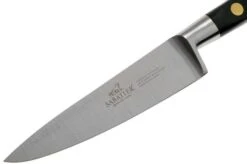 Lion Sabatier Idéal Paring Knife 10 Cm, 711080 -Famous Knife Shop SA1372 04 03 lion sabatier v202006