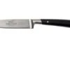 Lion Sabatier Edonist Office Knife 10 Cm, Black, 806380 1 Lion Sabatier Edonist Office Knife 10 Cm, Black, 806380 -Famous Knife Shop SA806380 01 lion sabatier edonist sa806380 01