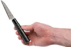 Tojiro Shippu Black Damascus Paring Knife (Petty) 9 Cm, FD-1591 15 Tojiro Shippu Black Damascus Paring Knife (Petty) 9 Cm, FD-1591 -Famous Knife Shop TJFD 1591 06 tojiro sippu black