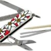 Victorinox Classic Edelweiss 0.6203.840 Swiss Pocket Knife -Famous Knife Shop VT0 6203 840 01 victorinox