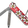 Victorinox Classic SD Edelweiss, 0.6223.840 Swiss Pocket Knife -Famous Knife Shop VT0 6223 840 01 victorinox