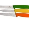 Victorinox SwissClassic Vegetable Knife Set, Set Of 3, 6.7116.31G 2 Victorinox SwissClassic Vegetable Knife Set, Set Of 3, 6.7116.31G -Famous Knife Shop VT6 7116 31G 01 victorinox vt6 7116 31g 01