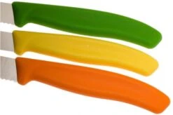 Victorinox SwissClassic Vegetable Knife Set, Set Of 3, 6.7116.31G -Famous Knife Shop VT6 7116 31G 04 victorinox vt6 7116 31g 04