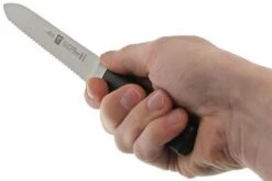 Zwilling 31070-130 Four Star Sausage Knife 12 Zwilling 31070-130 Four Star Sausage Knife -Famous Knife Shop ZW31070 130 05 zwilling four star zw31070 130 05