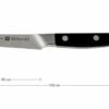Zwilling Pro Paring Knife, 38400-091 -Famous Knife Shop ZW38400 091 01 zwilling pro zw38400 091 01