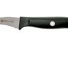 Zwilling Life Turning Knife 6 Cm, 38580-051-0 -Famous Knife Shop ZW38580 051 0 01 zwilling zw38580 051 0 01