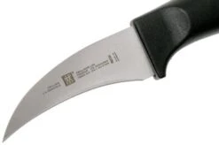 Zwilling Life Turning Knife 6 Cm, 38580-051-0 -Famous Knife Shop ZW38580 051 0 03 zwilling zw38580 051 0 03
