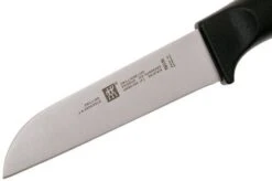 Zwilling Life Vegetable Knife, 38580-091-0 -Famous Knife Shop ZW38580 091 0 03 zwilling life zw38580 091 0 03