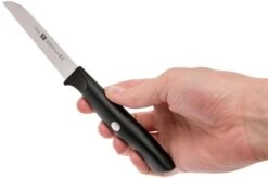 Zwilling Life Vegetable Knife, 38580-091-0 -Famous Knife Shop ZW38580 091 0 06 zwilling life zw38580 091 0 06
