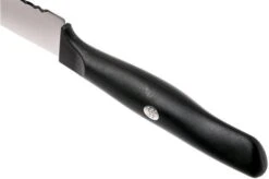 Zwilling Life Utility Knife 13 Cm, 38580-131-0 12 Zwilling Life Utility Knife 13 Cm, 38580-131-0 -Famous Knife Shop ZW38580 131 0 05 zwilling zw38580 131 0 05